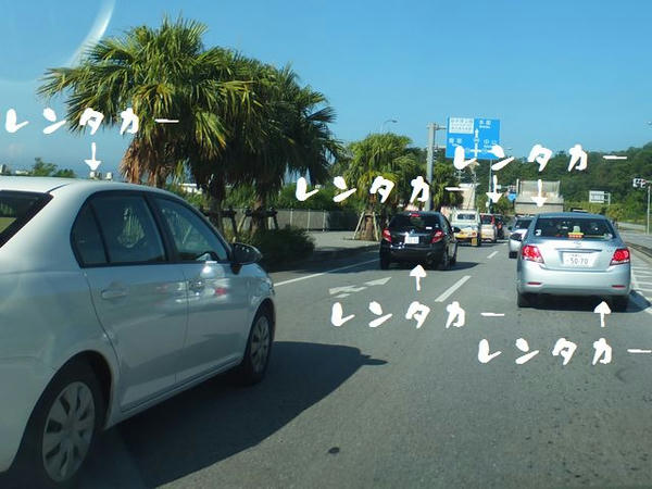 国道449号を