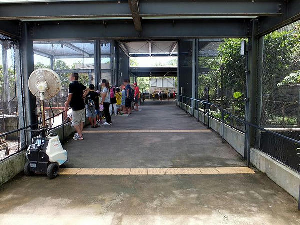 琉球列島舎アーク沖縄