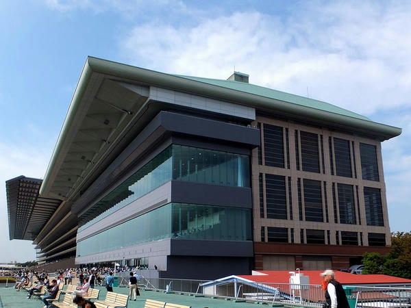 巨大な東京競馬場のスタンド