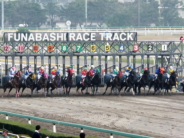 第8レースのスタート！