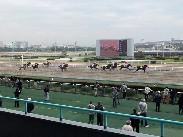 第6Rレース最後の直線走路とホースビジョン