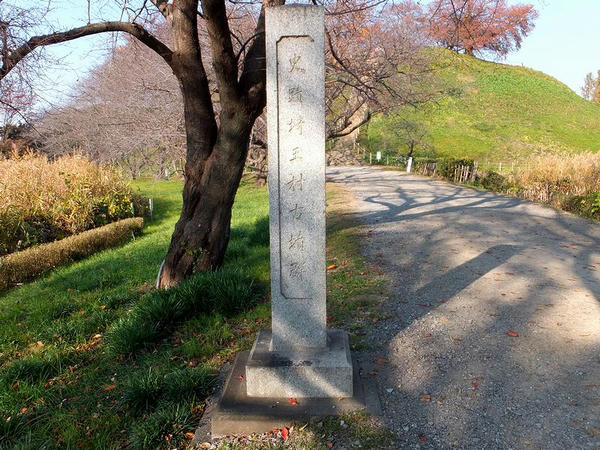 「史跡埼玉村古墳群」の石碑