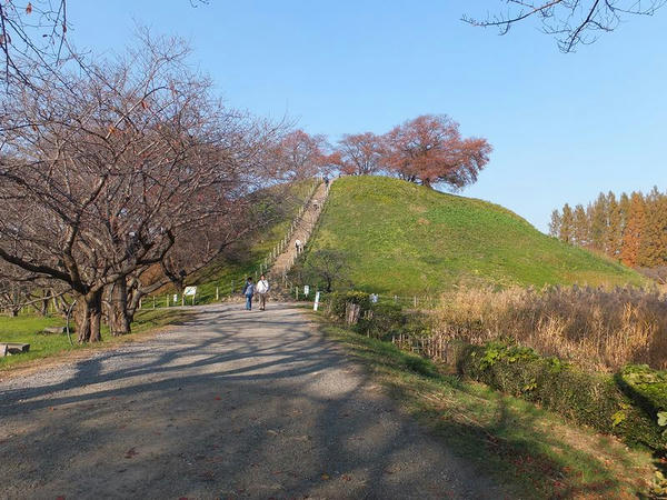 石田堤方向から見た丸墓山