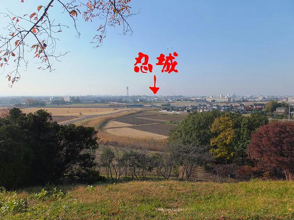 丸墓山の頂上部から忍城方向を望む