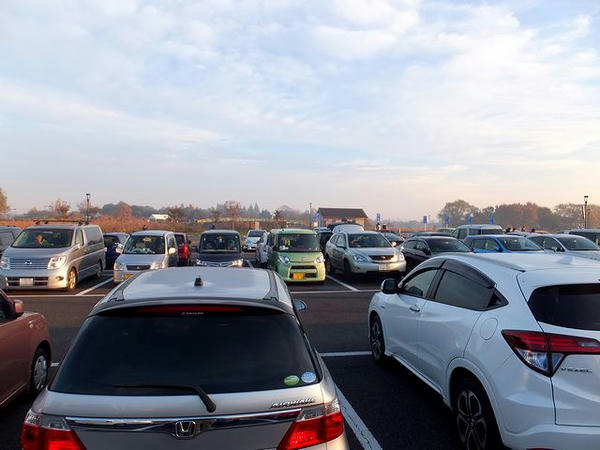 すぐに満車となった駐車場