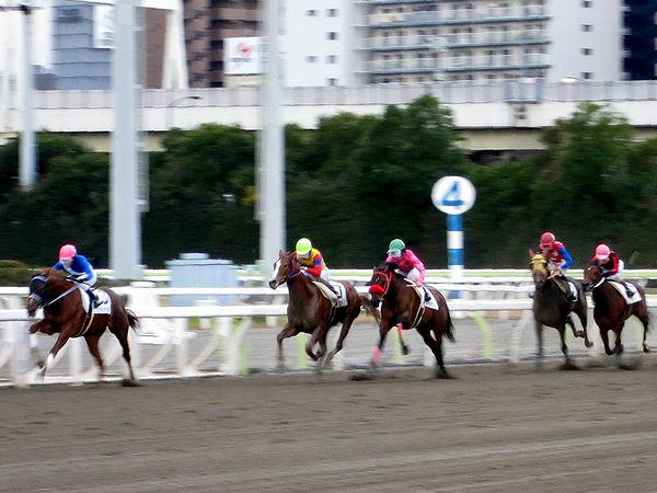 第2レース最後の直線入口