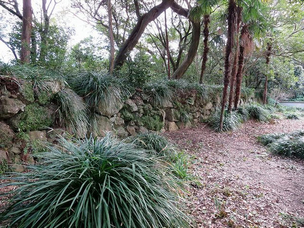 藤兵衛丸外周の石垣