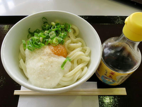 みかん卵の山かけうどん 494円