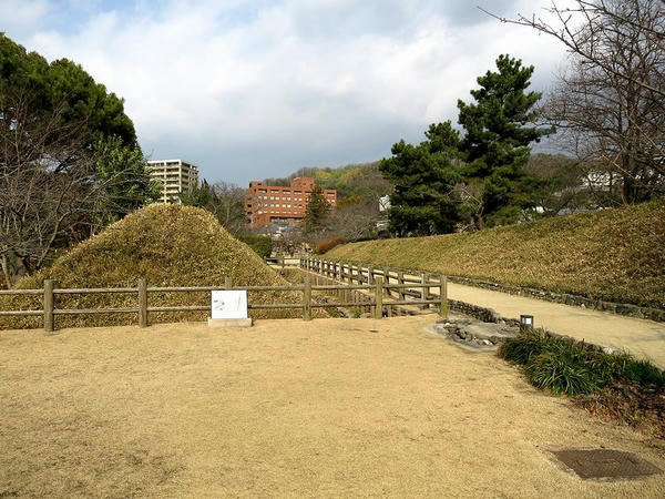 遮蔽土塁（上級武士居住区側から）