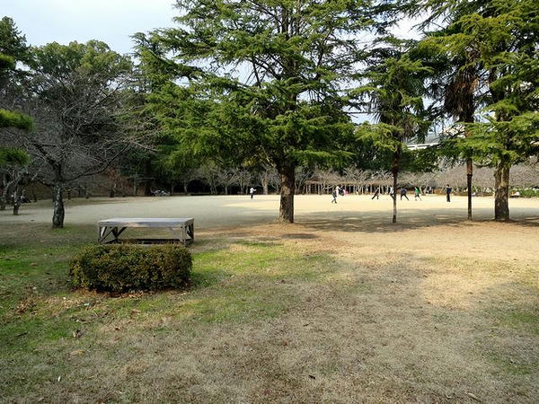 グラウンド