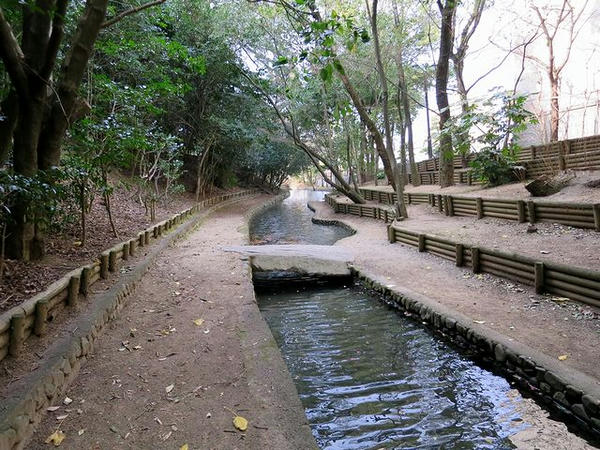 北部（正岡子規博物館裏手）の内堀