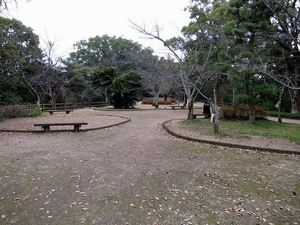 丘陵広場