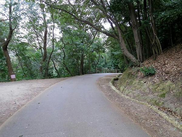 二の丸へと降りる県庁裏登城道