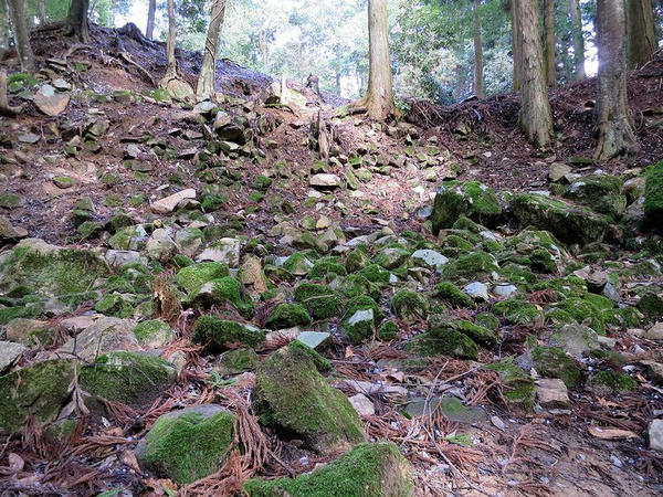三の丸石垣