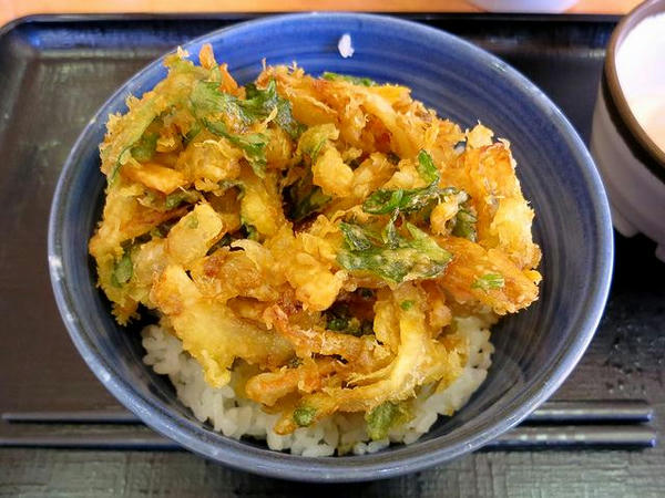 かき揚げ丼とそばセット 630円 ＋ 肉そば変更 200円 のかき揚げ丼