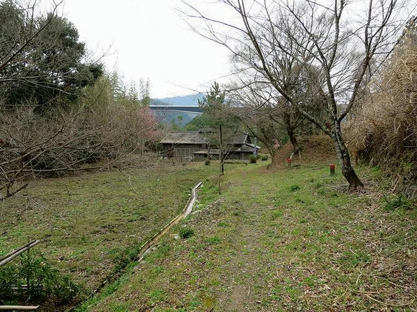 野牛郭