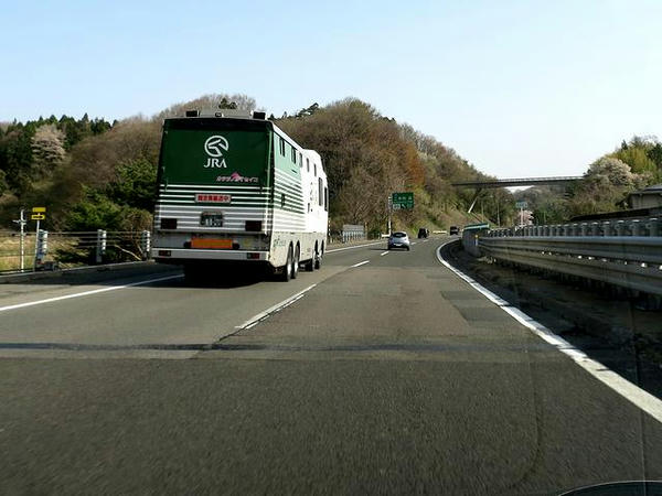 馬運車を見かけテンション↑↑