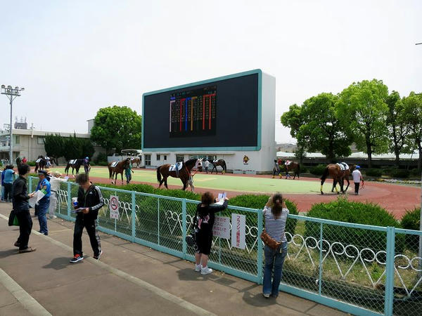 第3レースのパドック