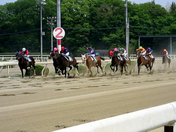 第3レース最後の直線