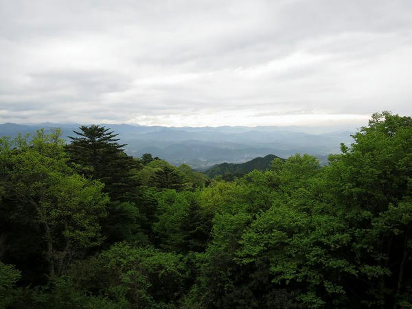 本丸からの景色