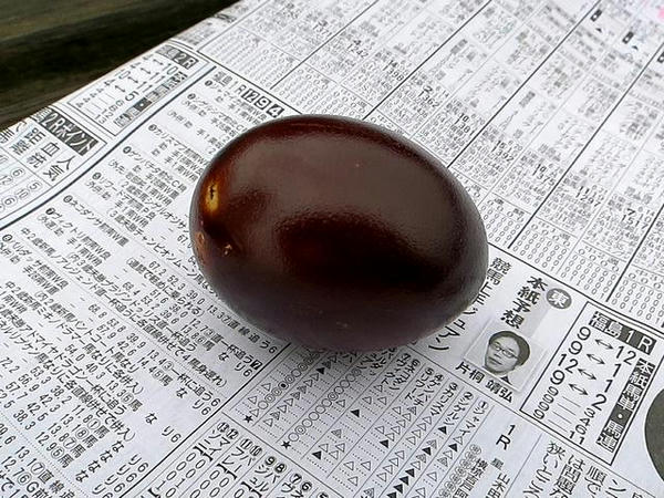 くんたま （確か）100円