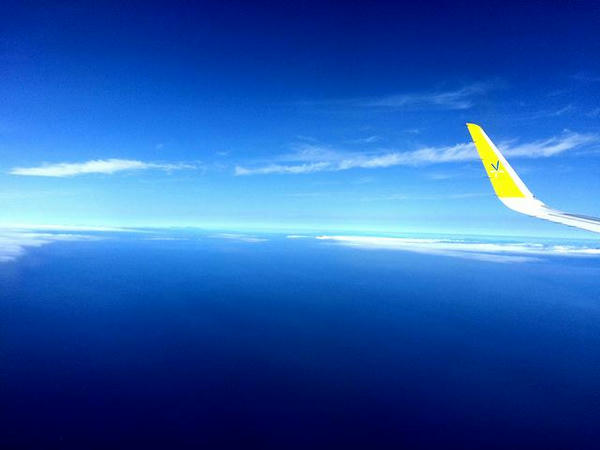 北海道上空は晴れてました