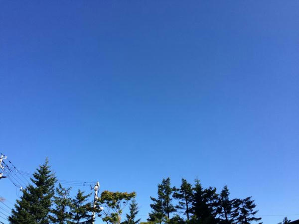 快晴！