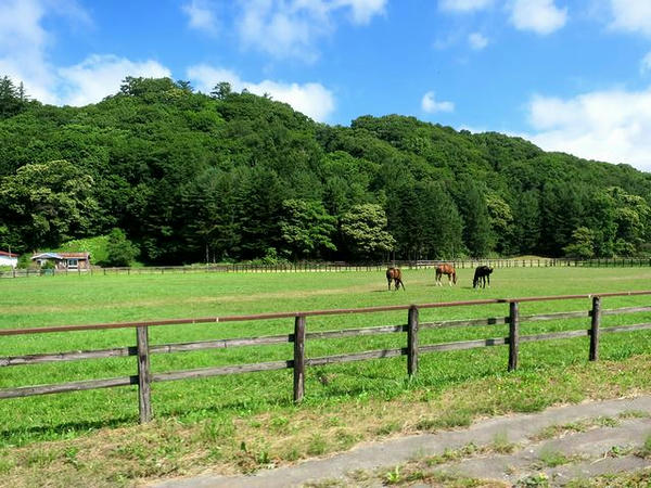 沿線の牧場