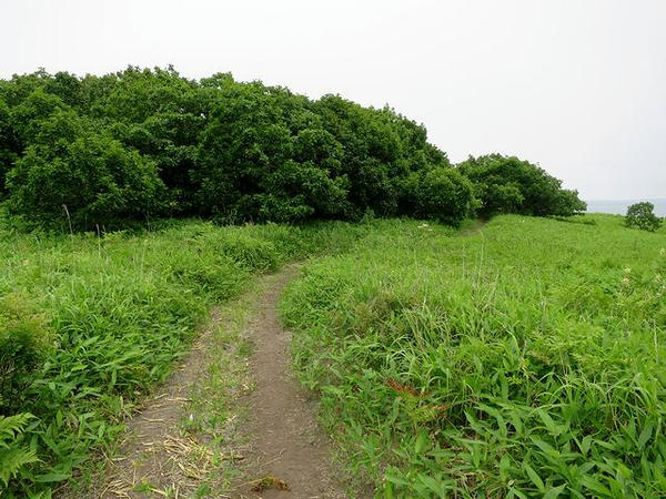 ノツカマフチャシへと続く通路その1