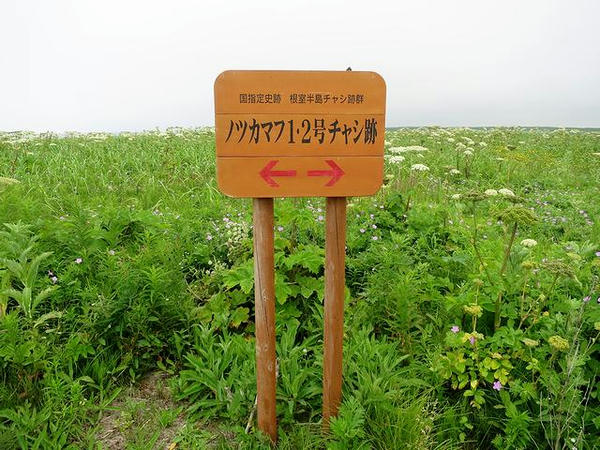 丁字路にある案内看板