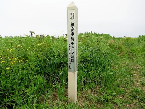 ノツカマフ2号チャシの標識