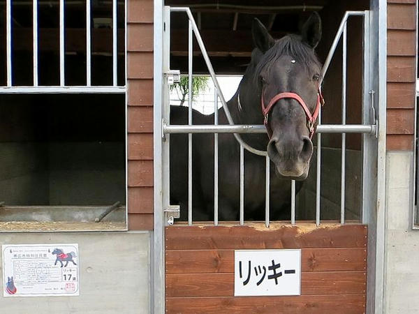 リッキー号