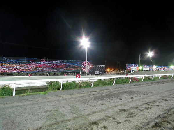 レース前のイルミネーション