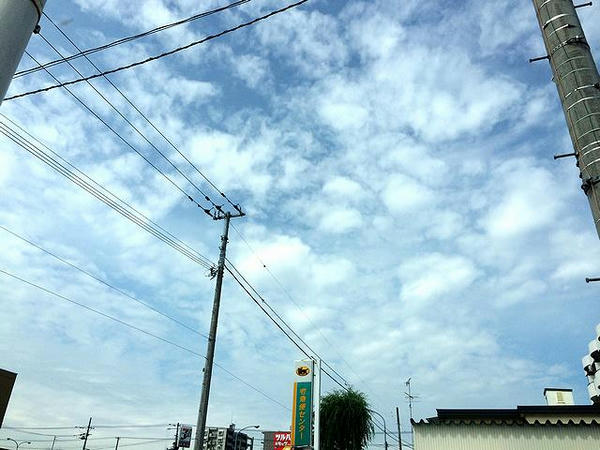 帯広はわりと晴れてました