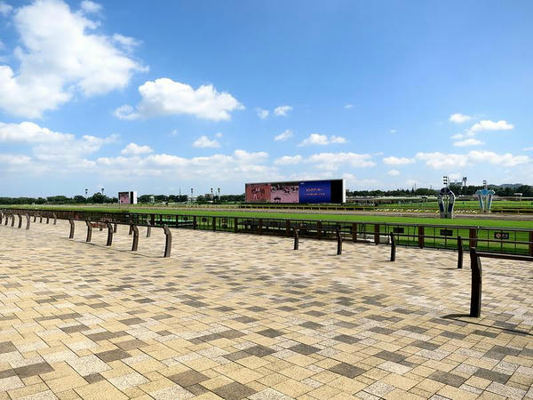 昼下がりのパークウインズ東京競馬場