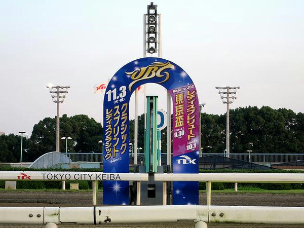 JBC仕様のゴール板