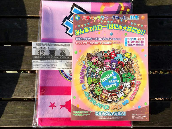 レジャーシート付きの公式ガイドブック