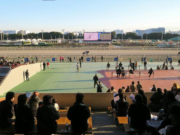 3階からコース方向を望む