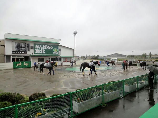 第2レースのパドック