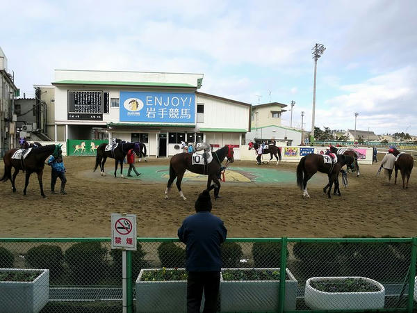 第4レースのパドック