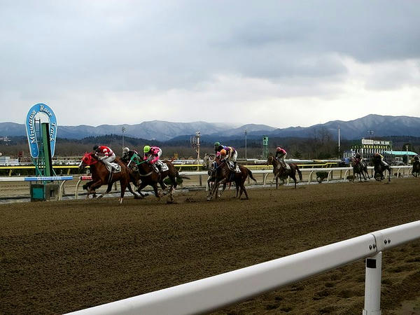 第3レースゴール前の攻防