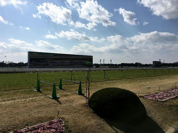最後の直線走路とターフビジョン