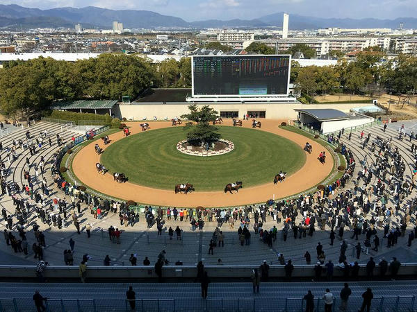 円形が特徴的な京都競馬場のパドック