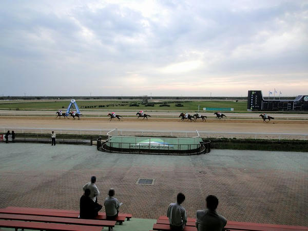 屋外観覧席から見た最終レースの風景