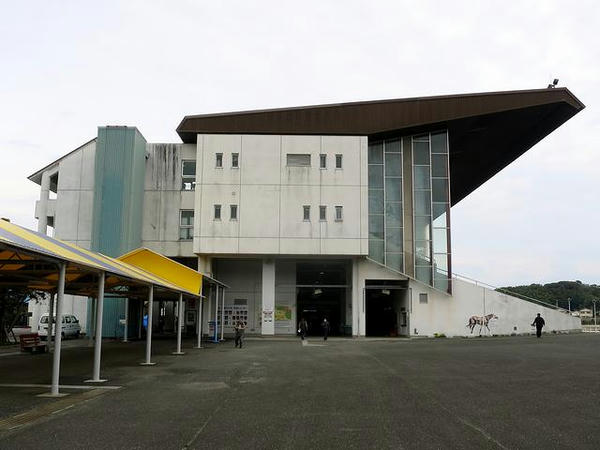 入口方向から見たスタンド