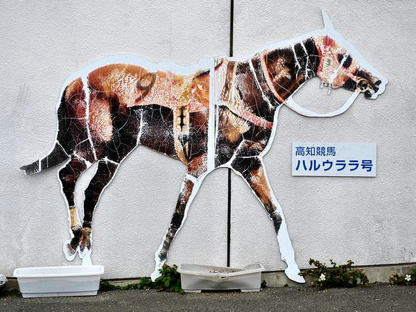 壁に貼られたハルウララ号