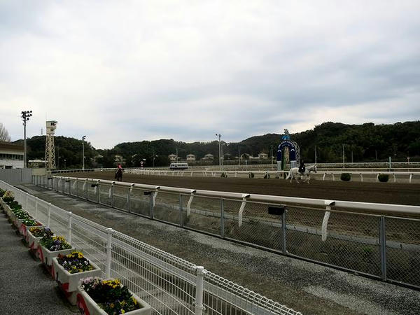 馬場入りする誘導馬と競走馬