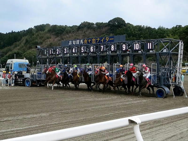 出馬 名古屋 表 競馬