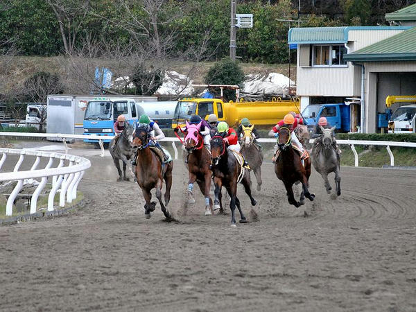 最終コーナーを走る競走馬