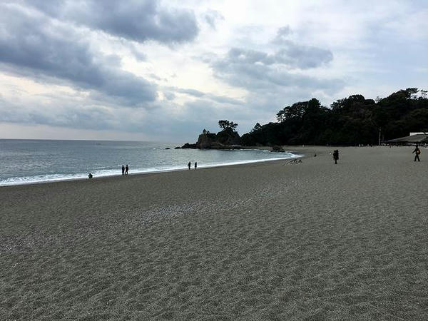 桂浜